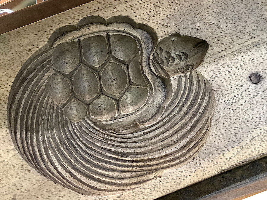 かめぢから