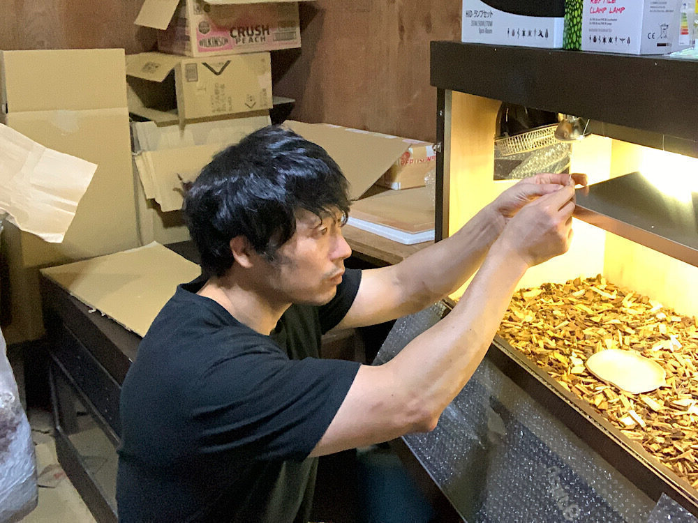 カメボス