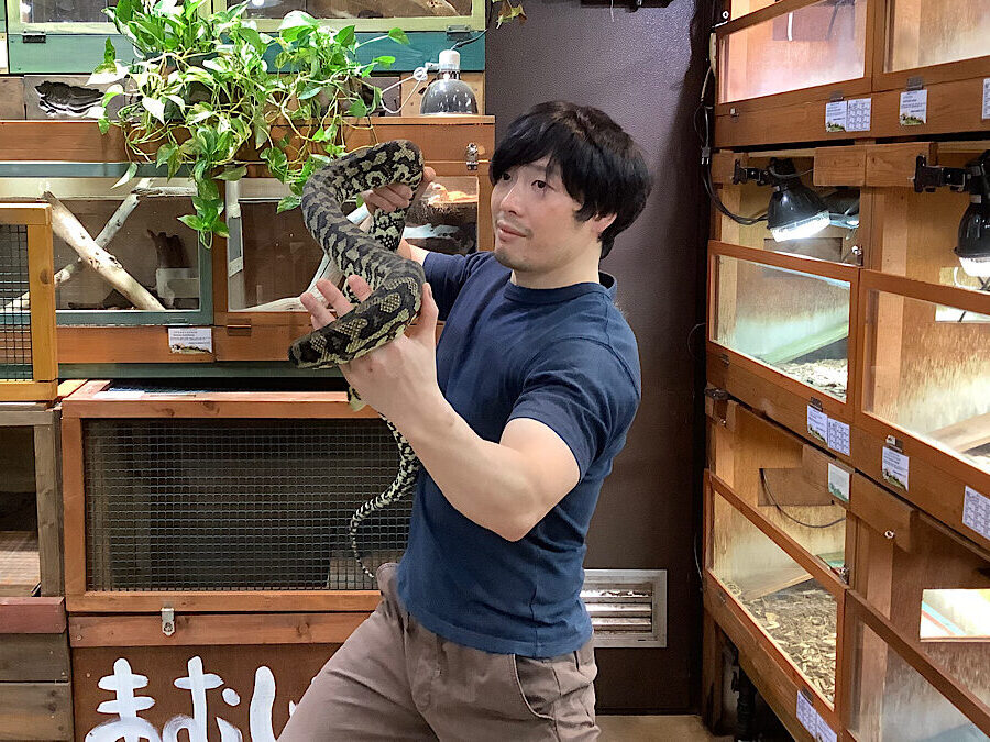 カメボス