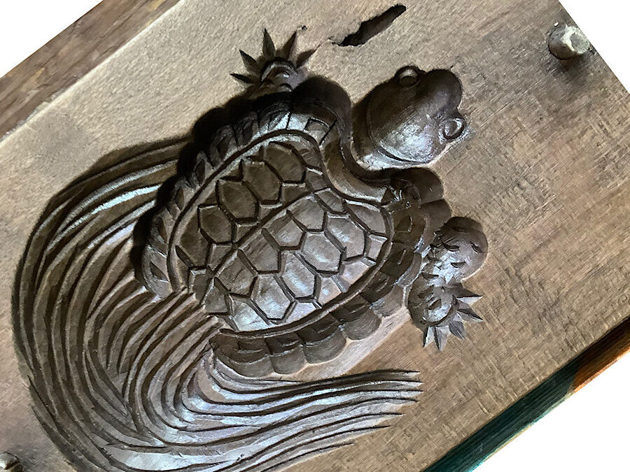 かめぢから