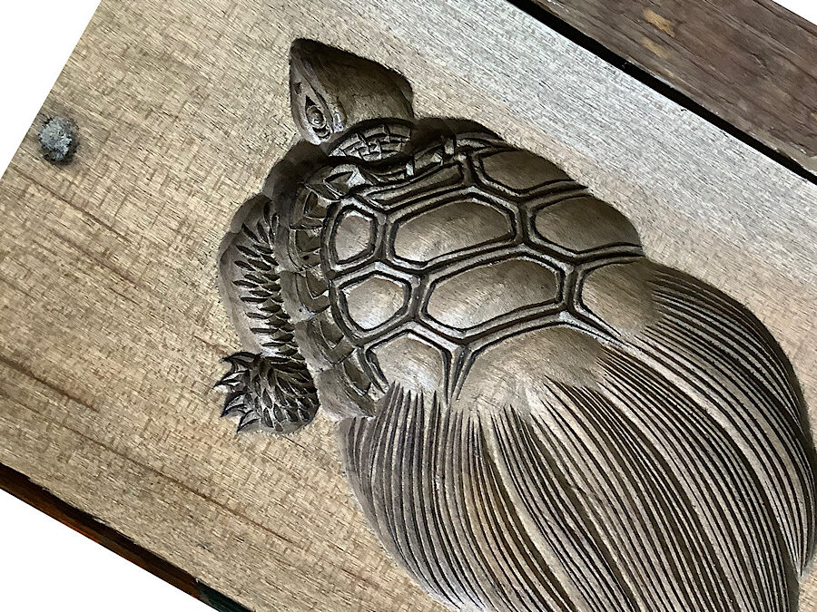かめぢから
