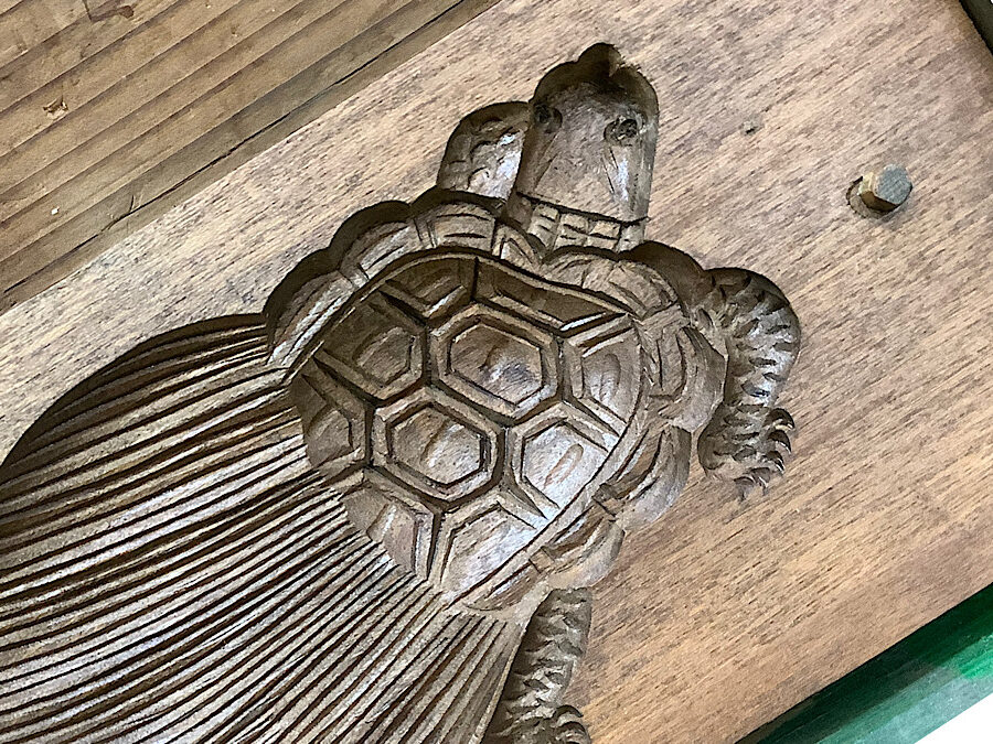 かめぢから