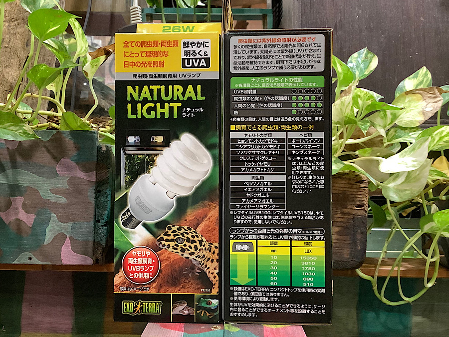 ソーラーラプターHID50