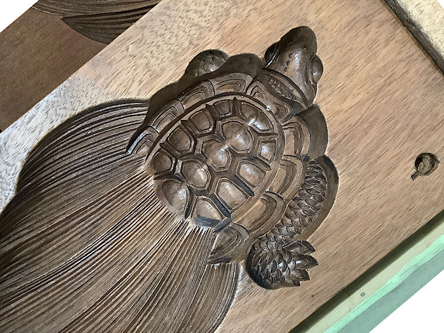かめぢから