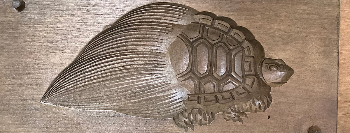 今日は店内リクガメケージの床材を力土オリジナルに改修。