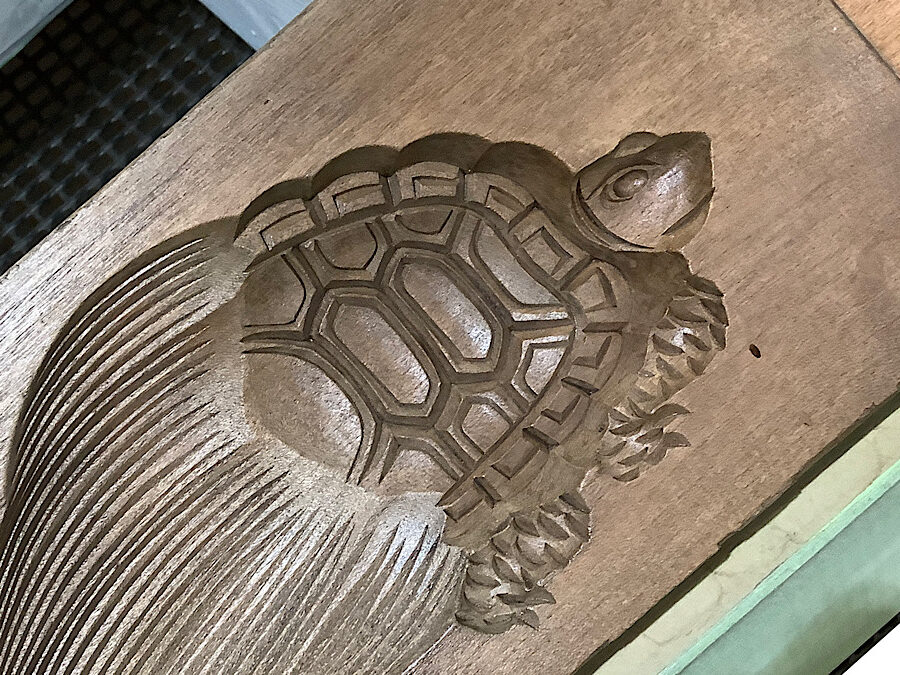 かめぢから
