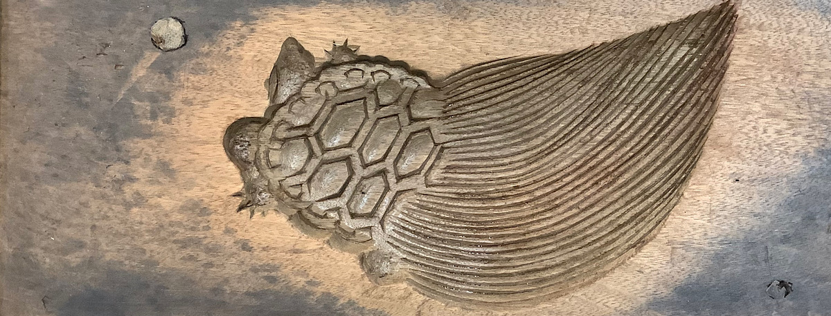 最近のかめぢから。庭は落ち葉だらけ。