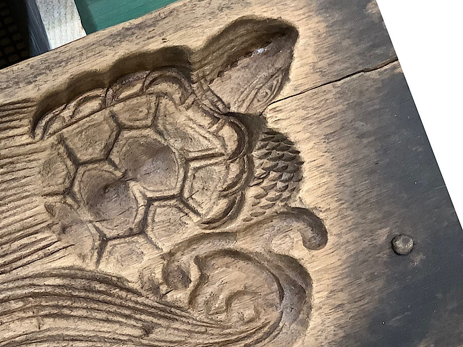 かめぢから