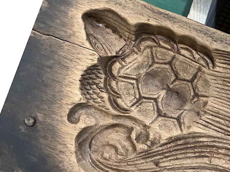 かめぢから