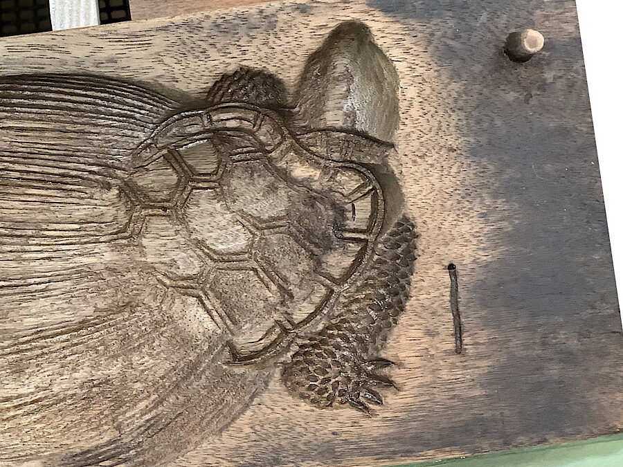 かめぢから