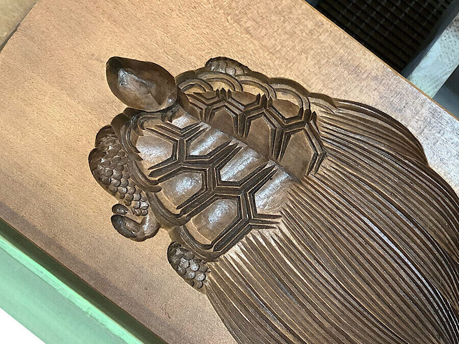 かめぢから