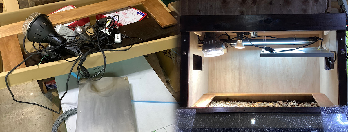 今日のかめぢから、まずは1つ目。