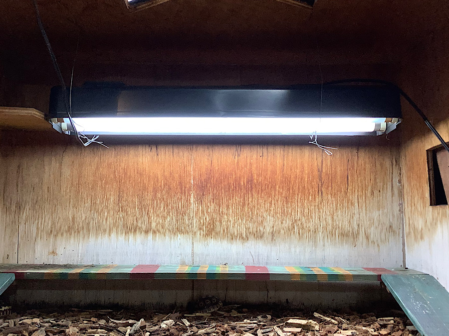 BarTypeソラリウム