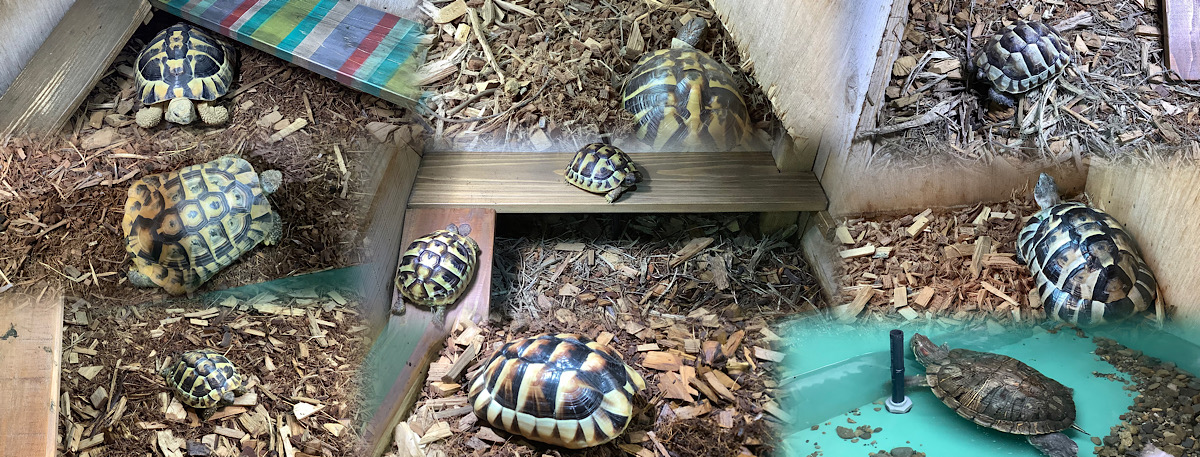 12月28日、本日2025年最後の営業でした。今年もありがとうございました。