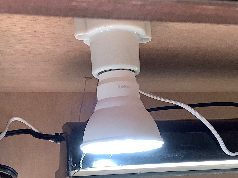 GEXナチュラルライト