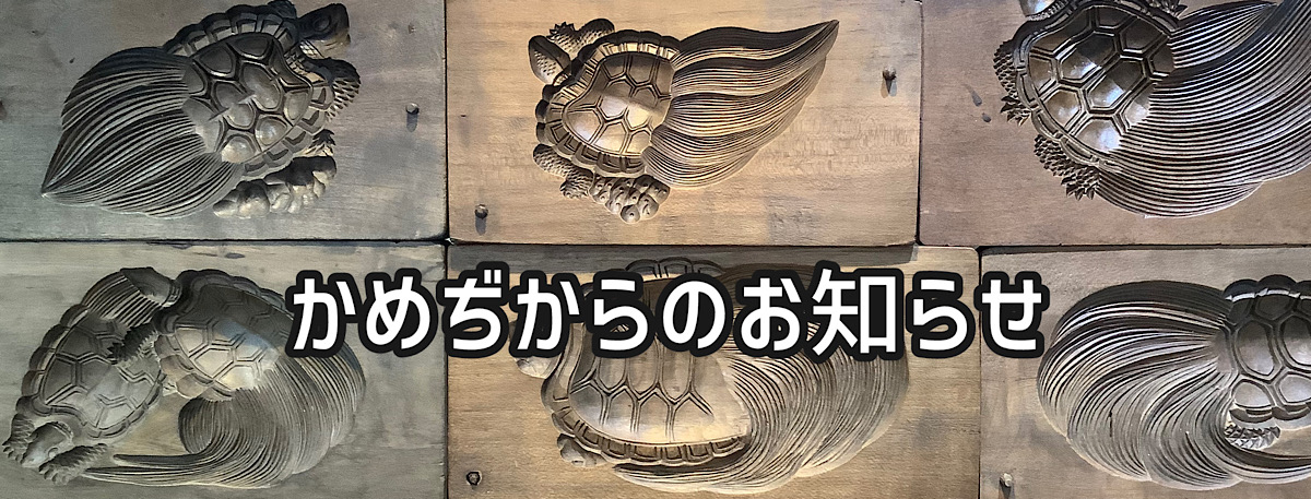かめぢからケージ+かめぢからベース陸型