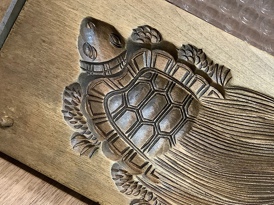 かめぢから
