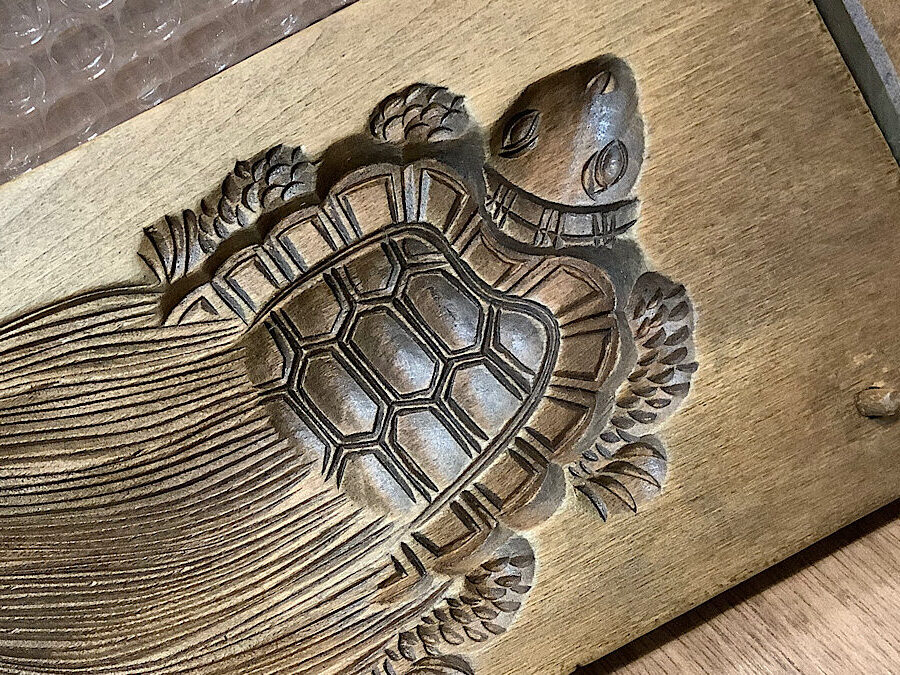 かめぢから