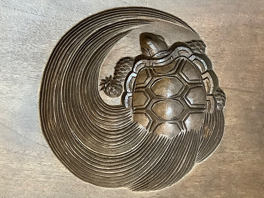 かめぢから