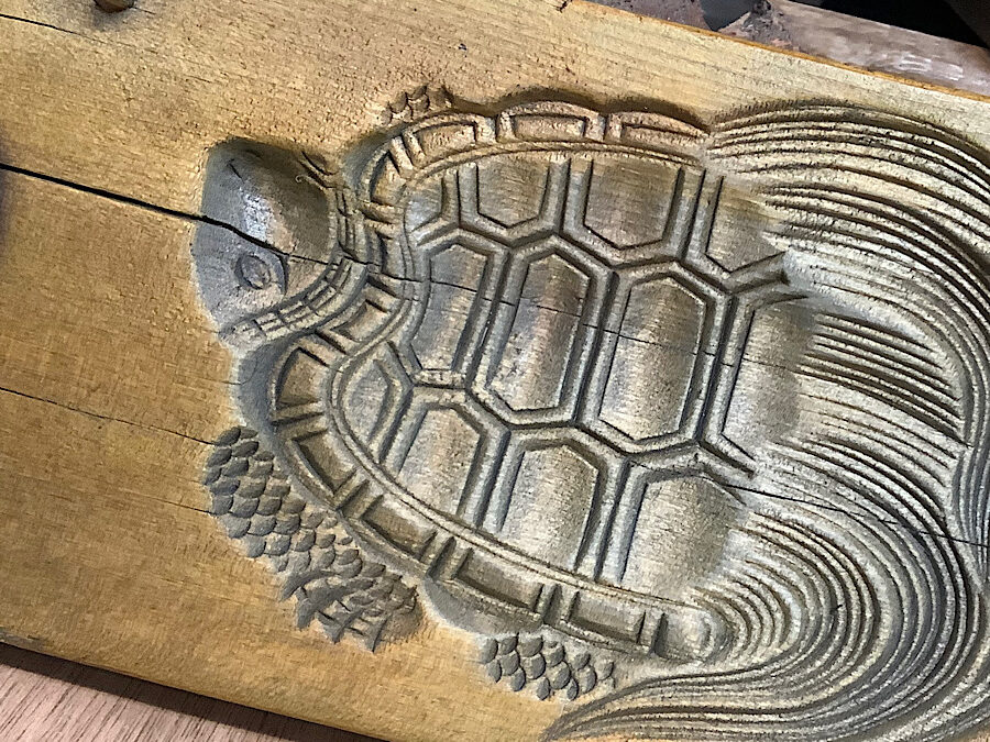 かめぢから
